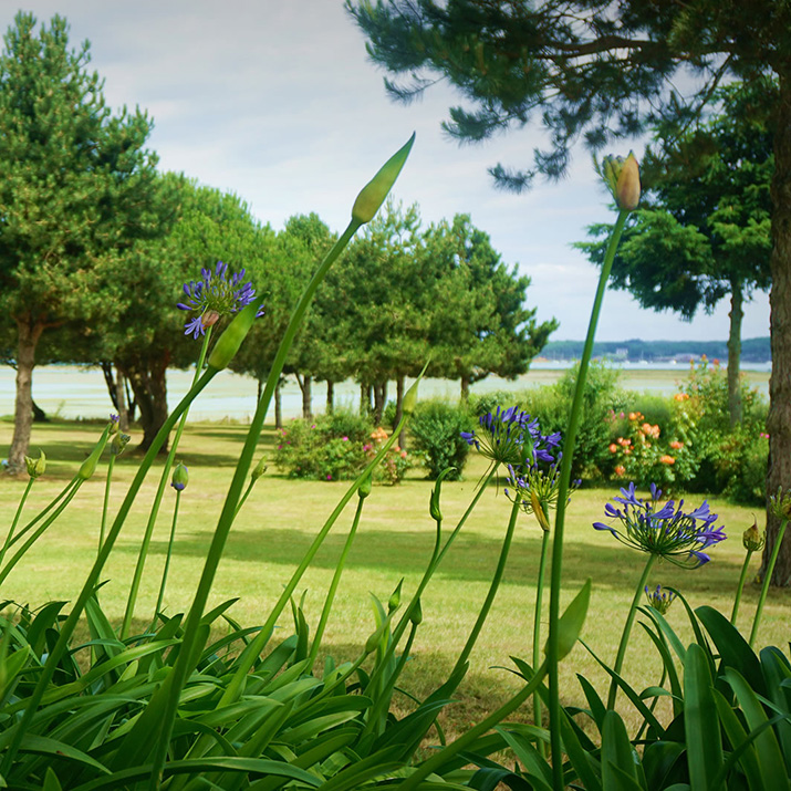 jardin bordé par le sentier cotier